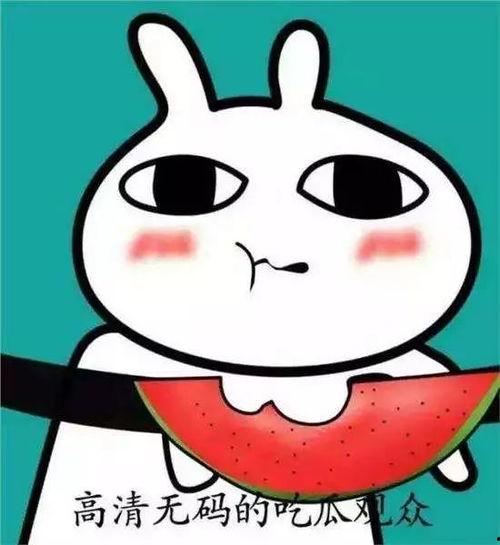 吃瓜表情图片大全,趣味横生的表情包盛宴