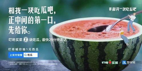 娱乐吃瓜的文案,吃瓜群众必备的幕后花絮大汇总