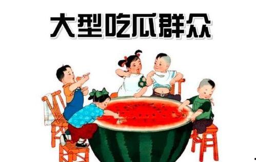 娱乐吃瓜感受和收获,趣味收获与感悟集锦